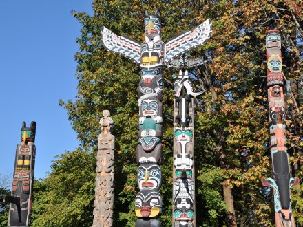 Totem Animals - How to find your totem animal?